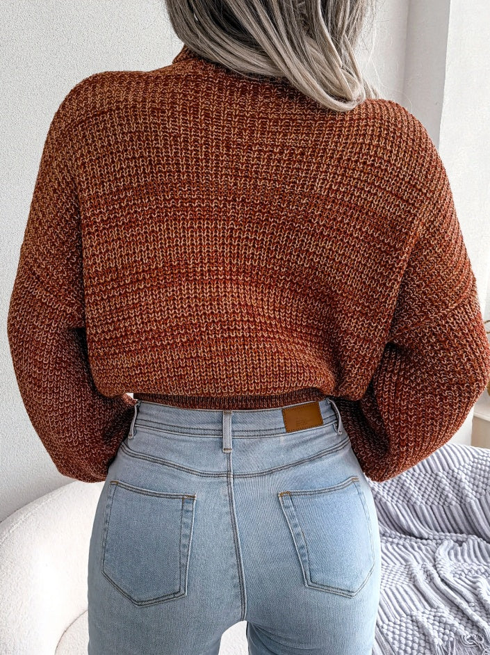 Pull Col Roulé Femme