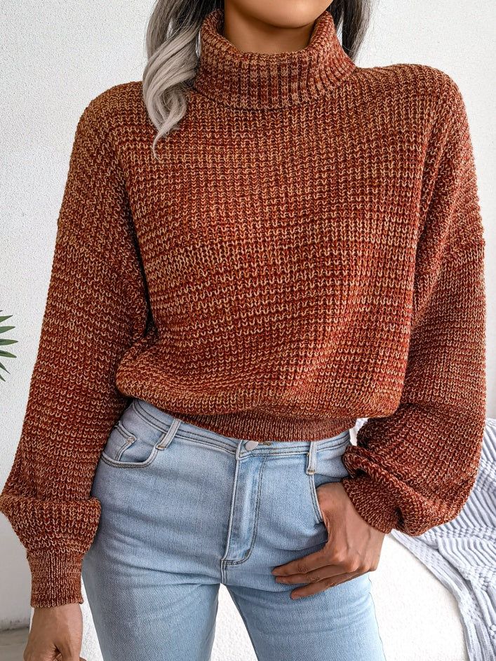 Pull Col Roulé Femme