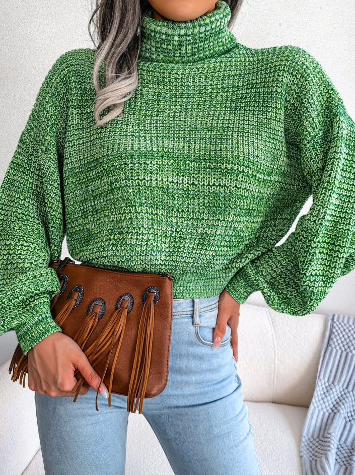 Pull Col Roulé Femme