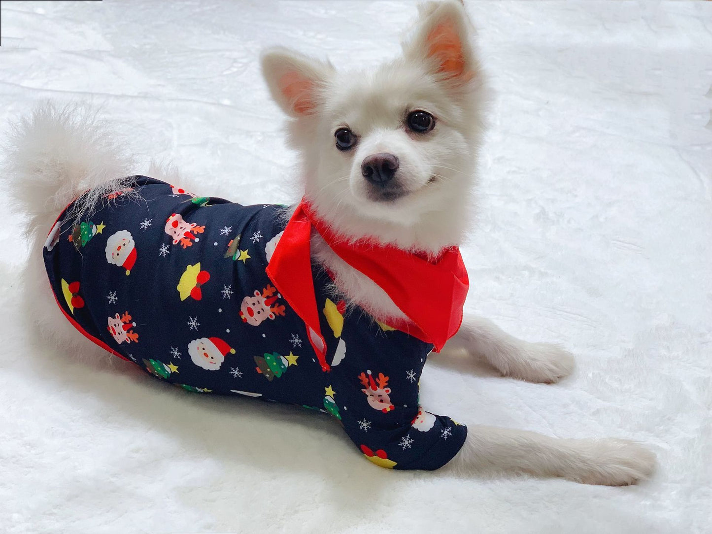Noël | Pyjamas Assortis Famille pour des Moments Confortables et Magiques