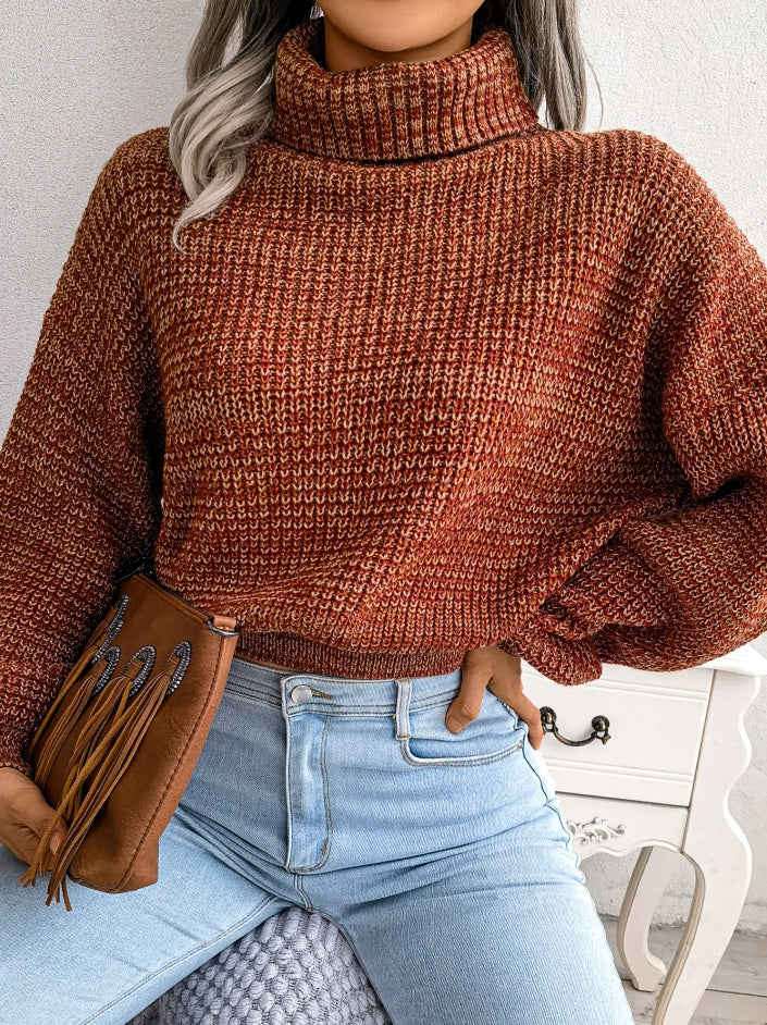 Pull Col Roulé Femme