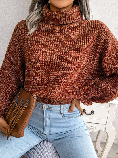 Pull Col Roulé Femme