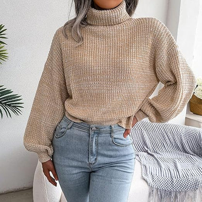 Pull Col Roulé Femme